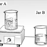 Science Test! #1